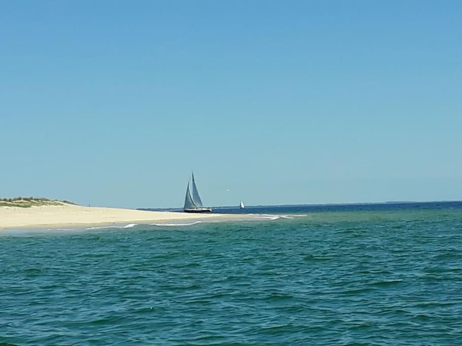 La Trinité-Surzur Entre Golfe Et Oceanヴィラ エクステリア 写真