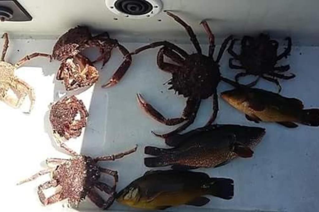 La Trinité-Surzur Entre Golfe Et Oceanヴィラ エクステリア 写真