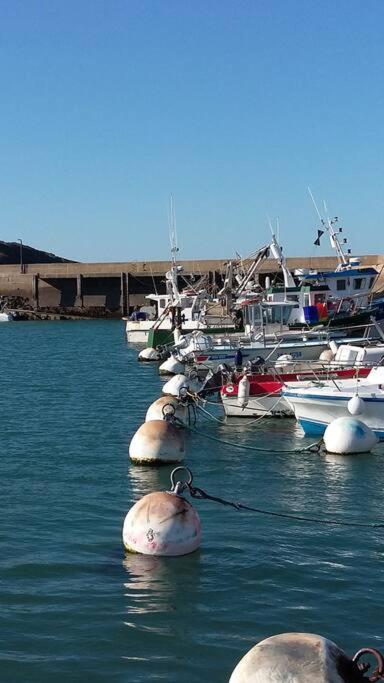 La Trinité-Surzur Entre Golfe Et Oceanヴィラ エクステリア 写真