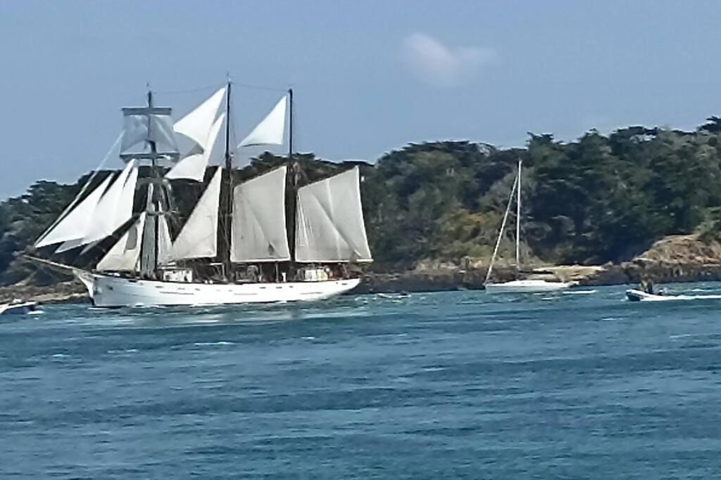 La Trinité-Surzur Entre Golfe Et Oceanヴィラ エクステリア 写真